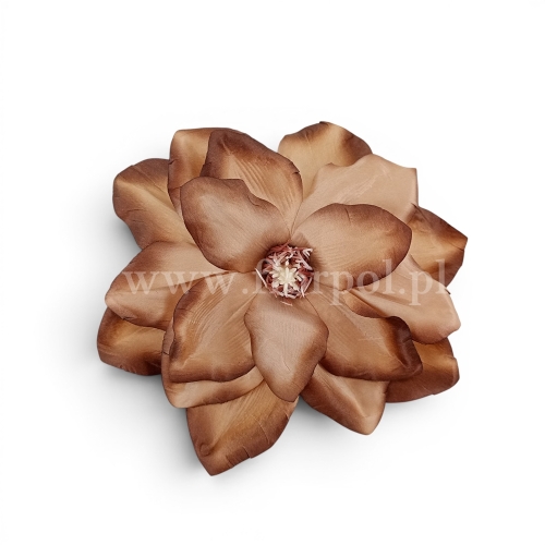 Magnolia otwarta 6szt beż/brąz (FME072858A)