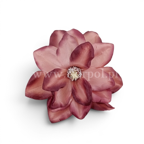 Magnolia otwarta 6szt br.róż/cz.wino (FME072858A)