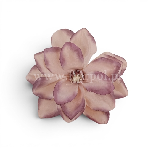 Magnolia otwarta 6szt beżoworóżowy/śliwka (FME072858A)