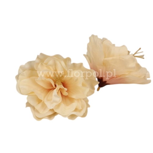 hibiskus wyrobowy 12szt krem/różowa nasada
