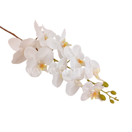 orchidea pojedyncza 1szt white (ECO032)