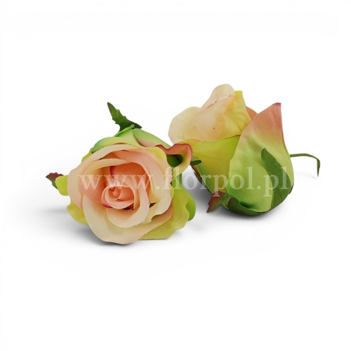 Róża wyrobowa w pąku #2540 SALMON GREEN (SUN412) 24 szt 