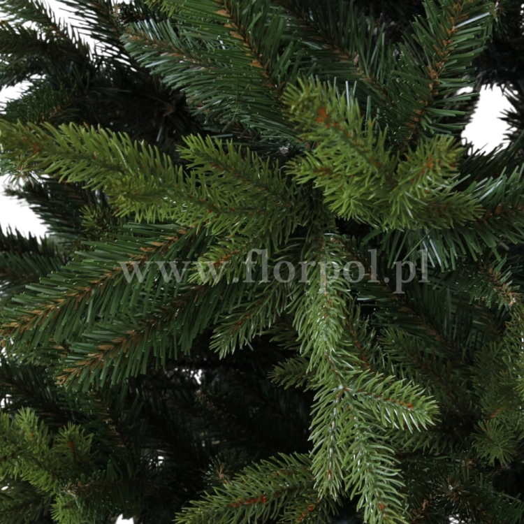 fresh green13766.jpg
