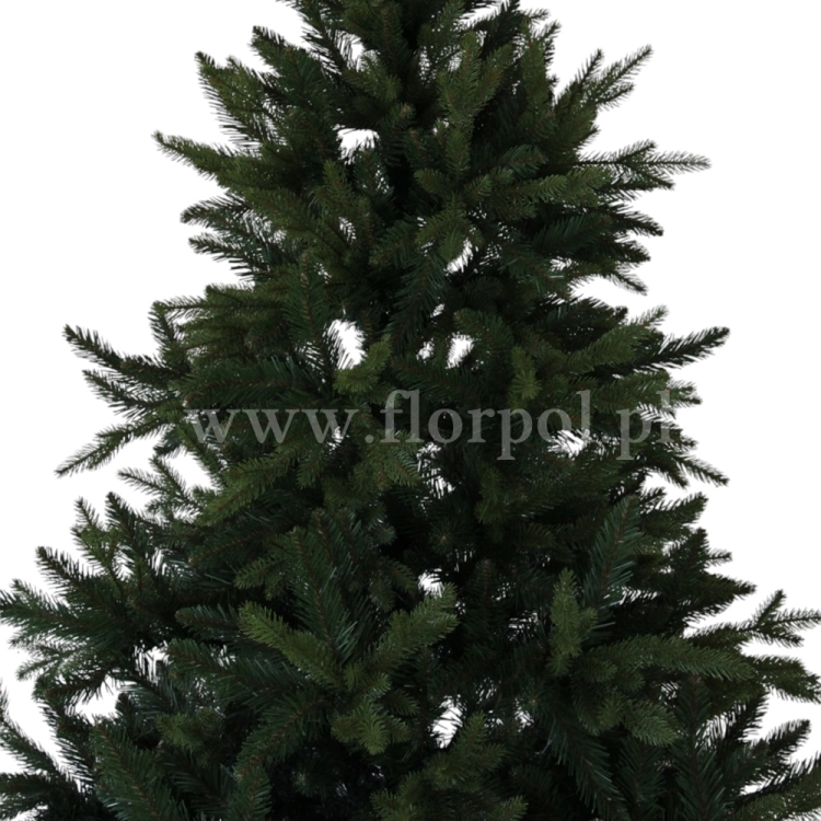 fresh green13767.jpg
