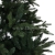 fresh green13768.jpg