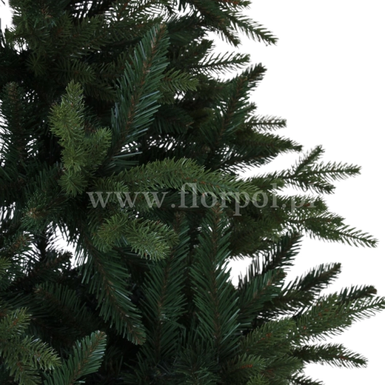 fresh green13768.jpg