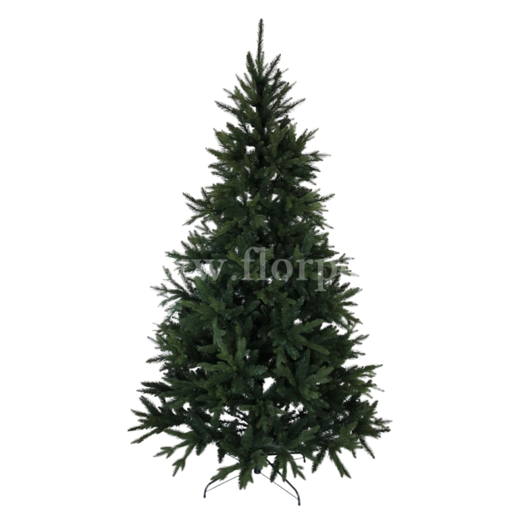 fresh green13762.jpg