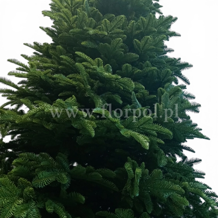 prestige nobilis choinka 13776.jpg