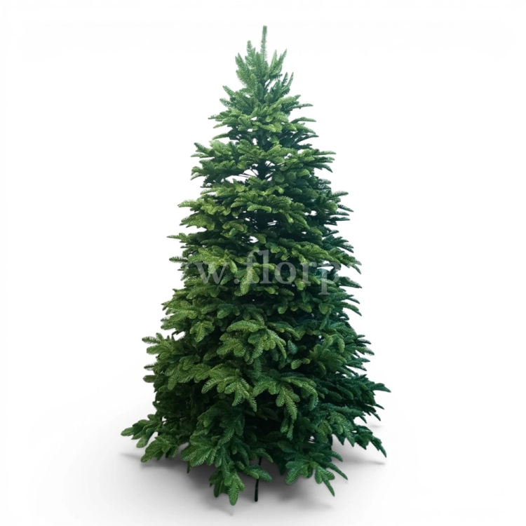 prestige nobilis choinka 13779.jpg
