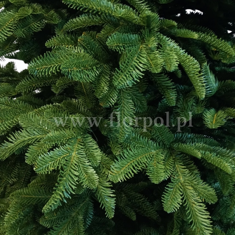 prestige nobilis choinka 13782.jpg