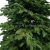prestige nobilis choinka 13770.jpg