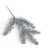 florpol.p  13788.jpg