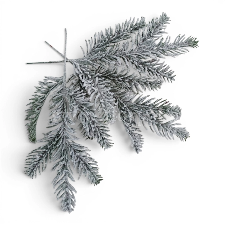 florpol.p  13789.jpg
