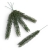 florpol.p  13793.jpg