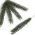 florpol.p  13794.jpg