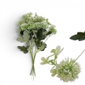 florpol.p  13795.jpg