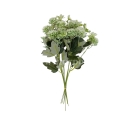 florpol.p  13796.jpg