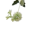 florpol.p  13797.jpg