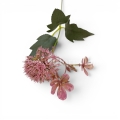 florpol.p  13800.jpg