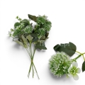 florpol.p  13802.jpg