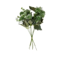florpol.p  13803.jpg