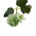 florpol.p  13804.jpg