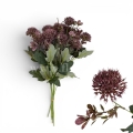 florpol.p  13805.jpg