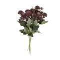 florpol.p  13806.jpg