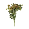 florpol.p  13809.jpg