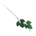 florpol.p13773.jpg