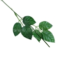 florpol.p13774.jpg