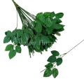 florpol.p13771.jpg