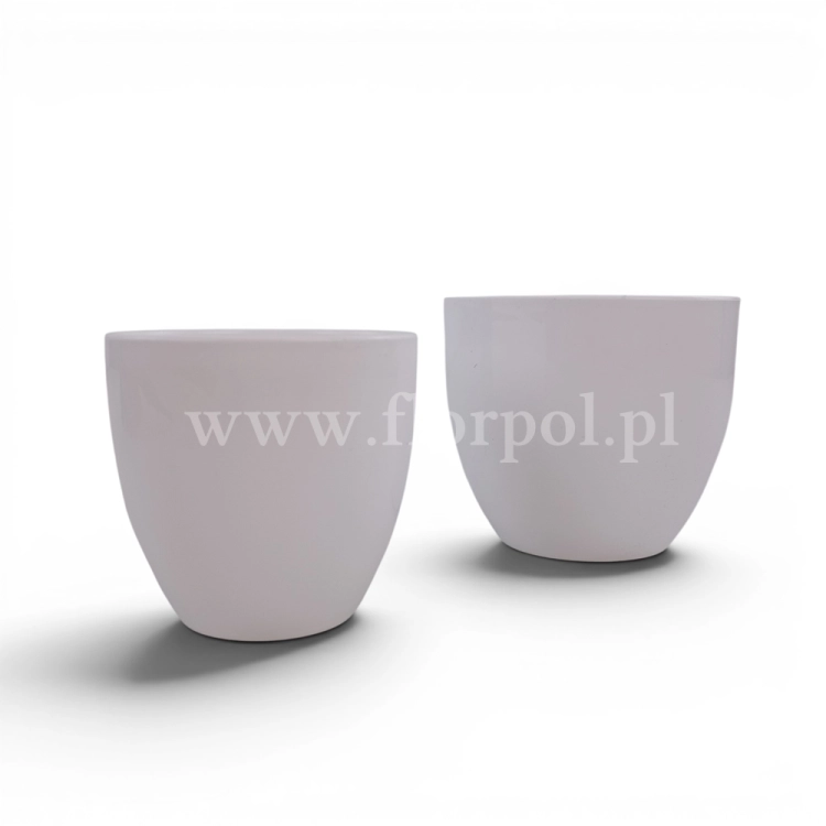florpol.p13769.jpg