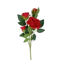 florpol.pl 13931.jpg