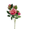 florpol.pl 13932.jpg