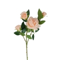 florpol.pl 13933.jpg