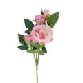 florpol.pl 13927.jpg