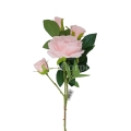 florpol.pl 13930.jpg