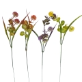 florpol.pl 13915.jpg