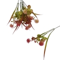 florpol.pl 13916.jpg