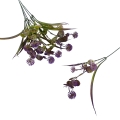 florpol.pl 13917.jpg