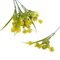 florpol.pl 13919.jpg