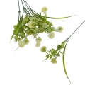 florpol.pl 13914.jpg