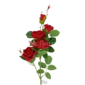 florpol.pl 13912.jpg