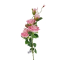 florpol.pl 13913.jpg