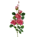 florpol.pl 13907.jpg