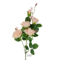 florpol.pl 13909.jpg