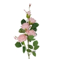 florpol.pl 13910.jpg