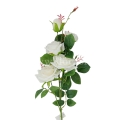 florpol.pl 13911.jpg