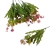 florpol.pl 13899.jpg
